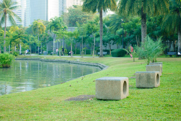 A serene park scene featuring stone benches by tranquil lake, surrounded by lush greenery and palm trees. People enjoy leisure activities in background, creating peaceful atmosphere
