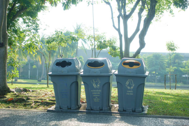 A Trash bins in park with clear recycling instructions, surrounded by greenery and trees, promoting environmental awareness and cleanliness