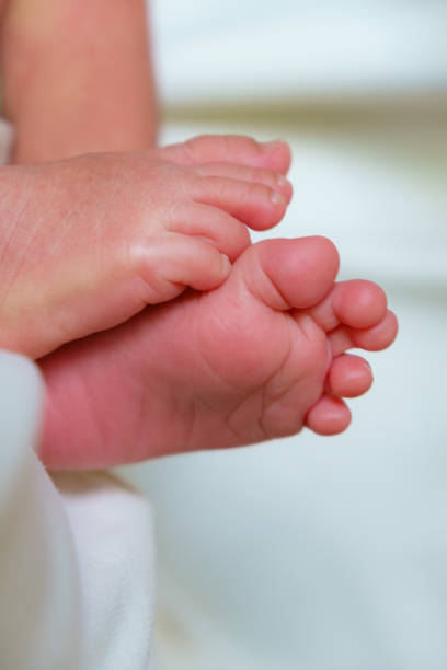 istock Tiny baby feet resting together, showcasing delicate toes and soft skin. image captures innocence and warmth of early childhood, evoking feelings of love and tenderness 2191396598