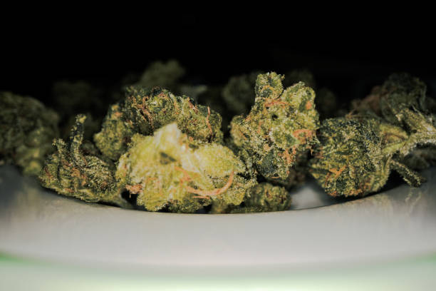 istock Cannabis close up as sold in German pharmacies. 2191397285