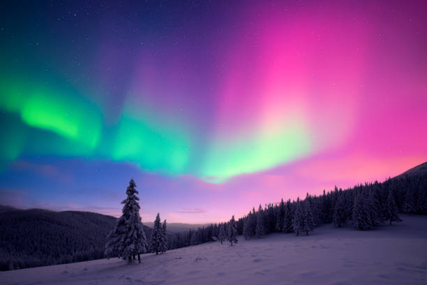 istock Fairy winter mountains with snowy fir-trees 2191397310
