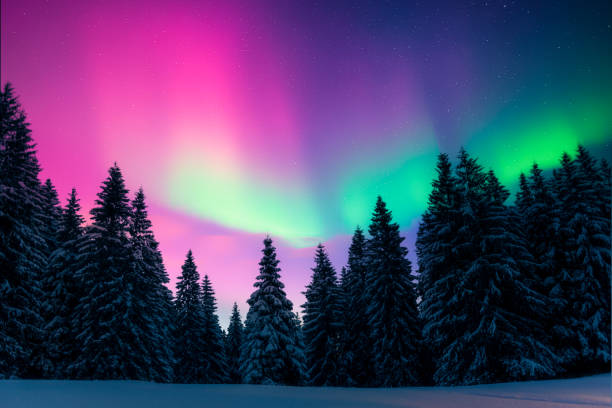 istock Fairy winter mountains with snowy fir-trees 2191397353