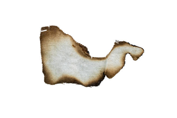 a piece of burnt rag on a white background