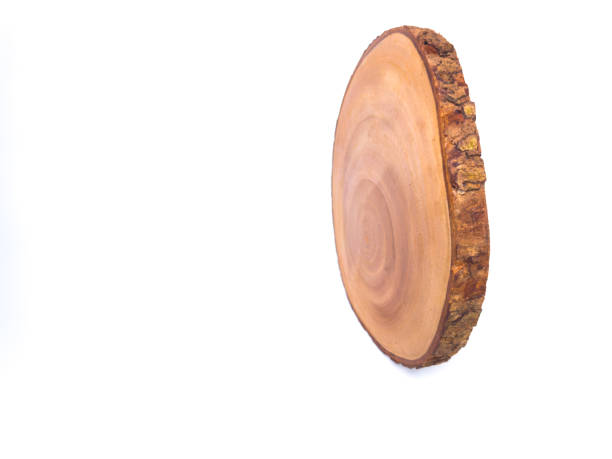 istock Side view of a wooden slice 2191400848