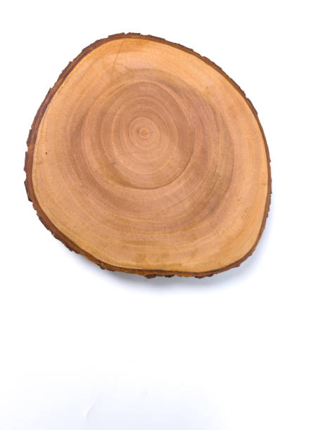 istock Natural wooden slice 2191400897