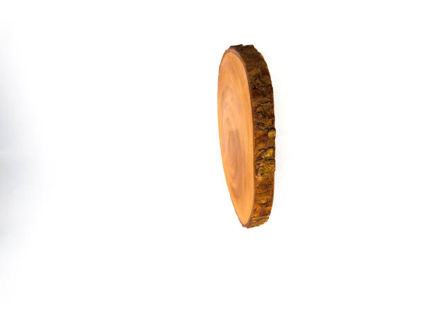 istock Side view of a thin wooden slice 2191400900