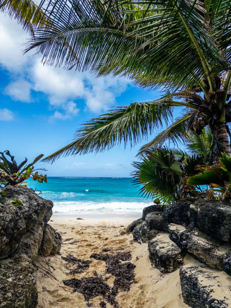 istock Enter Love Baech at New Providence island, Bahamas 2191402041