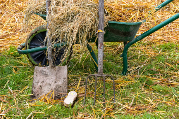 istock Wheelbarrow, fork, shovel and brush on a farm 2191402902