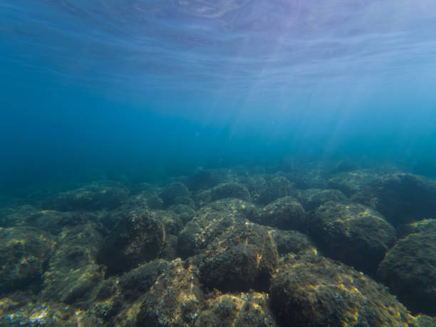 istock French Riviera: sunbeams pierce the turquoise waters, illuminating the rocky bottom covered with algae. 2191404877