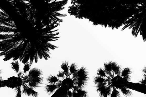 istock Art in the nature 2191407305