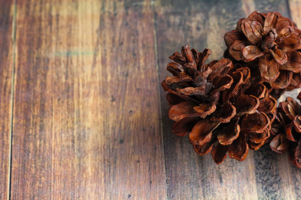 a bunch of dried pine cones on an abstract patterned wooden board