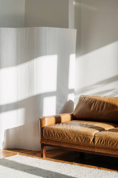 Single leather sofa and interior of house
