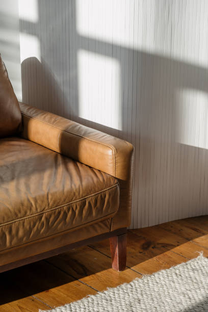 Comfortable leather sofa in a modern living room with natural light
