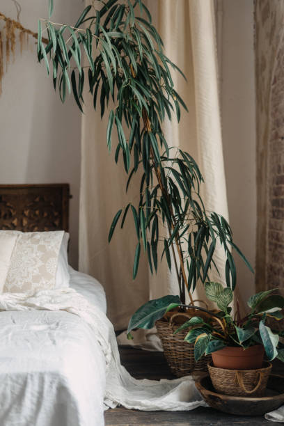 istock Cozy bedroom with boho style decor and a large indoor plant 2191407763