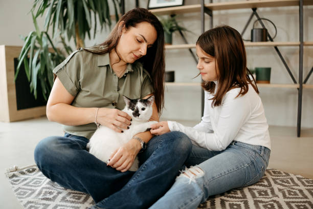 istock Mother and daughter playing together with a cat 2191409603