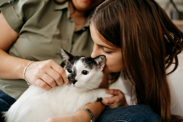 istock Mother and daughter playing together with a cat 2191409617
