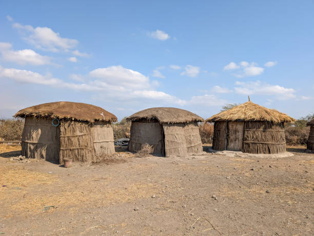 Traditional maasai huts made of mud and thatch dotting a tanzanian village under a bright blue sky, reflecting the unique architecture and cultural heritage of the maasai people