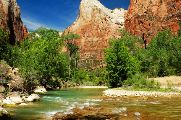 Beautiful landscape of Zion National Park in Utah