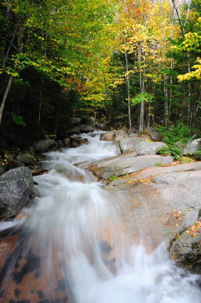 istock stream flowing on rocks in autumn forest 2191414426