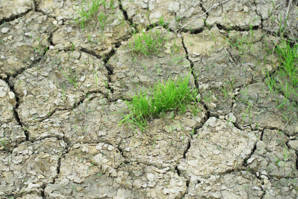 cracked dry field in drought season