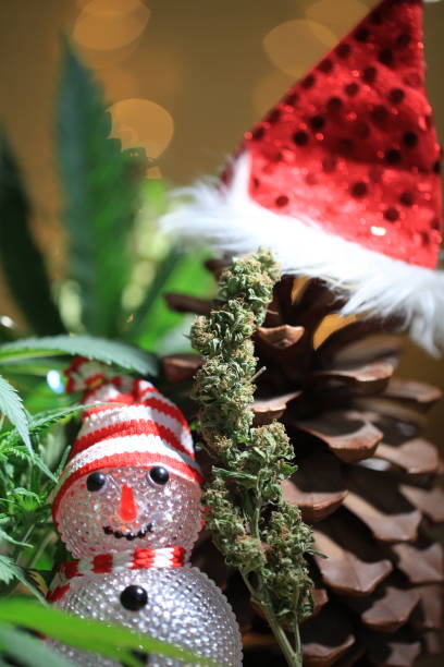 istock santa cannabis christmas new year marijuana 2191420025