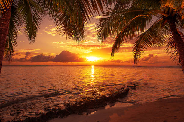 istock Tropical paradise beach and dramatic sky during the sunset 2191422098