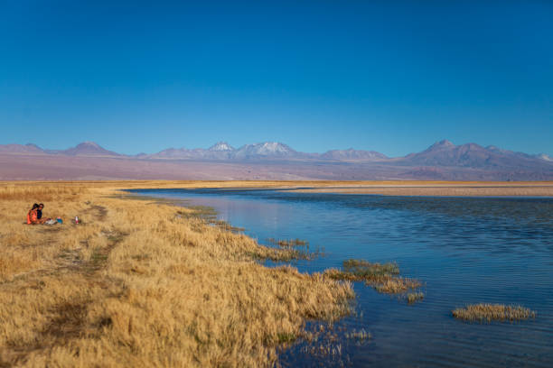 istock Cejar lake (Spanish: Laguna Cejar) - Atacama Desert (Chile) 2191423762