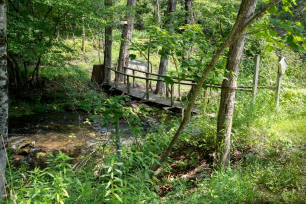 istock Small wooden footbridge in the woods 2191427219