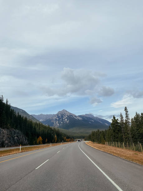 istock Road in the mountains. Alberta, Canada. 2191427824