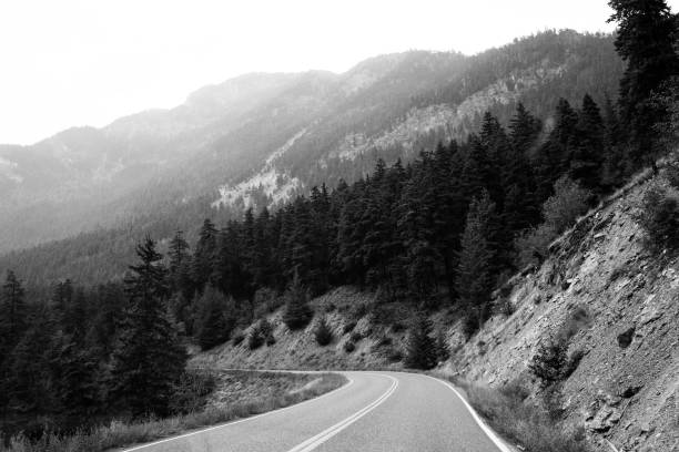 Panoramic view of winding road navigating lush green mountains in Angeles National Forest, Southern California, showcasing picturesque scenery.