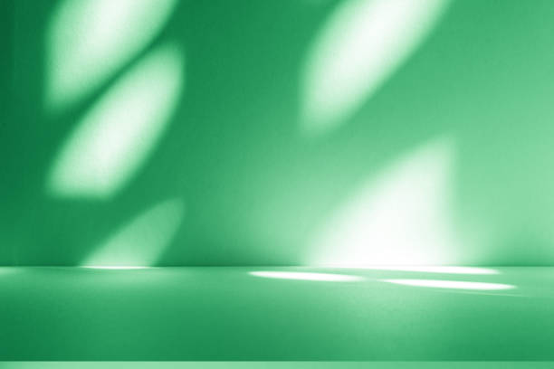 istock Studio style background wall decoration presentation uses white and green tones. with shadows cast from a nearby window, concept creating a decorative 2191430657