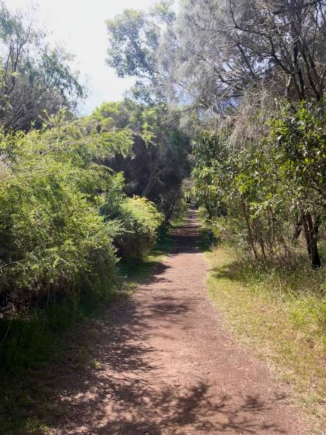 istock Dirt road in the countryside 2191436143