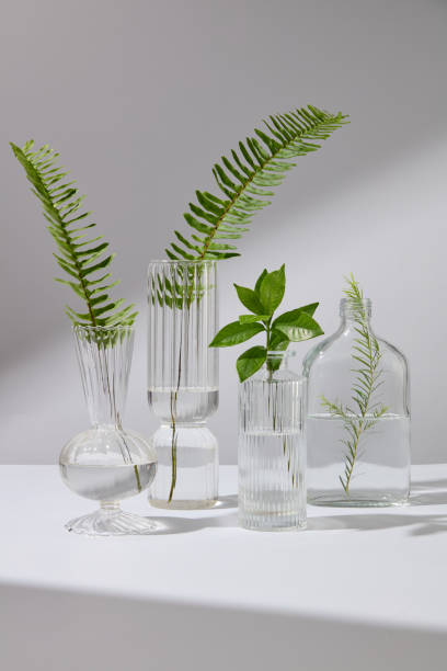 istock Template photo for cosmetics advertisement decorated with fresh plants 2191440876