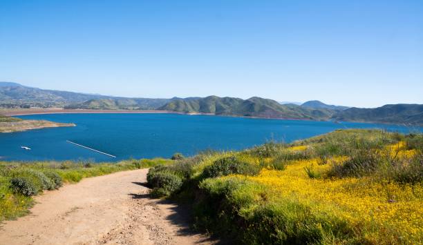 istock Scenic lake view with wildflowers 2191447690