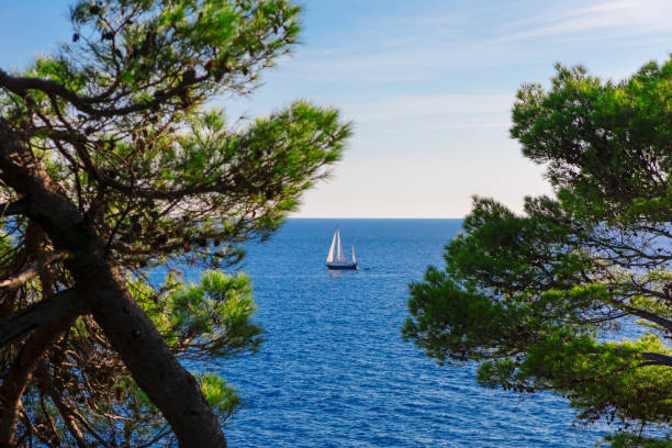 A sailboat sails along the beautiful coast of Sardinia in summer. The sea is deep blue.
