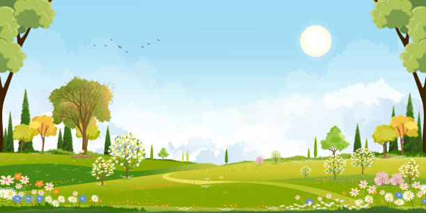 istock Spring landscape background,Cute Village with meadow, rural road on hill, blue sky ,could in sunny,Vector cartoon horizon Summer landscape, Panoramic countryside with mountains with wild flowers field 2191452474