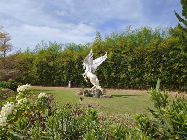 Pegasus at wonderland, fun park at Saraburi