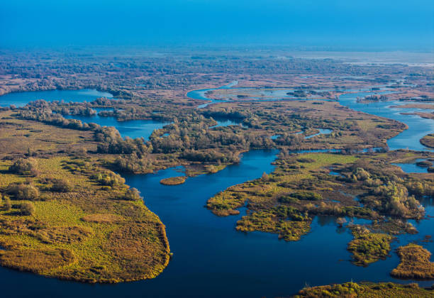 Aerial View of Oder River with Verdant Landscape in Central Europe