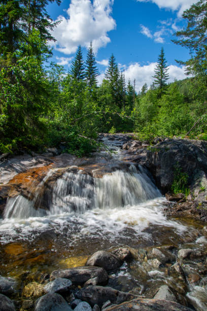 istock Norwegian mountain river with fast flowing clear and sparkling water and a waterfall that forms white foam on rocks surrounded by green coniferous trees. Sunny summer day. 2191454286