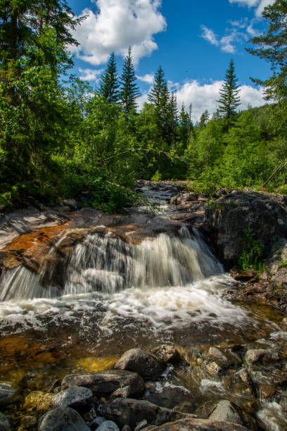 istock Norwegian mountain river with fast flowing clear and sparkling water and a waterfall that forms white foam on rocks surrounded by green coniferous trees. Sunny summer day. 2191454288