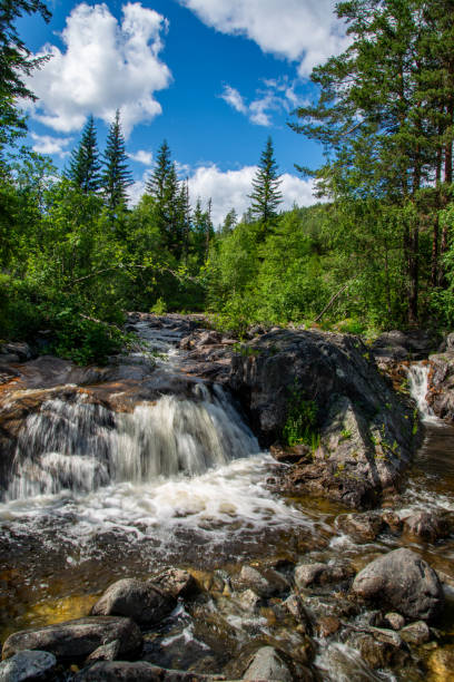 istock Norwegian mountain river with fast flowing clear and sparkling water and a waterfall that forms white foam on rocks surrounded by green coniferous trees. Sunny summer day. 2191454304