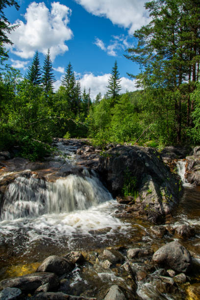 istock Norwegian mountain river with fast flowing clear and sparkling water and a waterfall that forms white foam on rocks surrounded by green coniferous trees. Sunny summer day. 2191454343