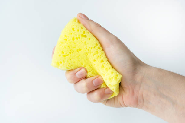 hand holding a yellow sponge, squeezing foam sponge against white background