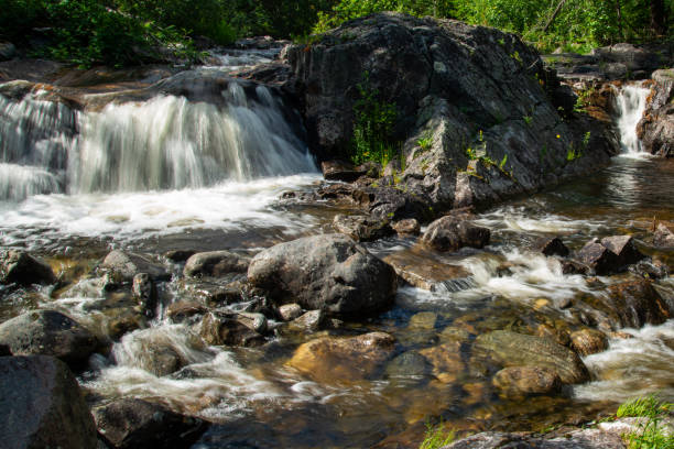 istock Norwegian mountain river with fast flowing clear and sparkling water and a waterfall that forms white foam on rocks surrounded by green coniferous trees. Sunny summer day. 2191454475
