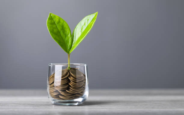 istock Glass jar filled with coins, with a small seedling growing in the center, placed on a table against a dark grey backdrop. The image represents the concept of saving and financial growth for future 2191454552