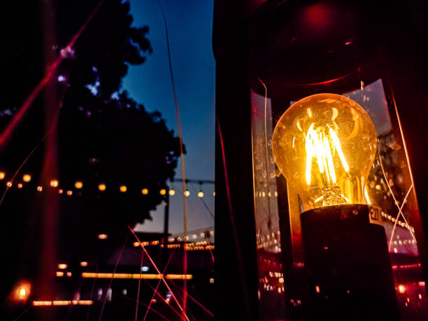 Each bulb casts a warm, inviting glow that contrasts with the surrounding darkness.