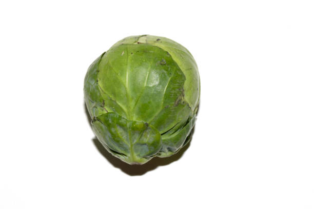 Close Up of Brussels Sprout Vegetable Cabbage