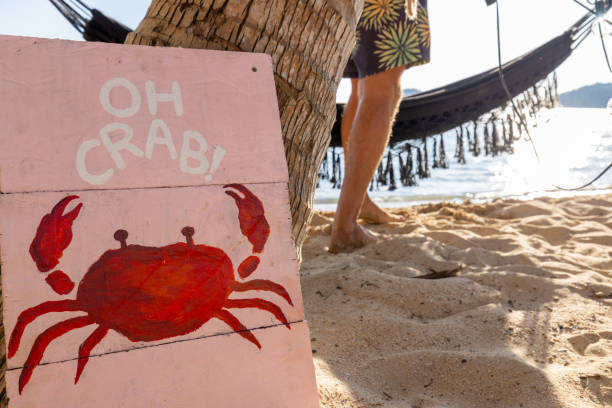 Vibrant wooden sign with crab artwork on sandy beach, suggesting laid-back coastal vibes. Vacationer in patterned shorts standing by sea, enjoying the tropical setting.