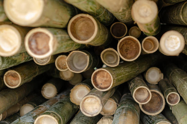 The image features a stack of bamboo poles arranged closely together. The bamboo shows various colors and textures, including green, light brown, and hints of yellow. The poles are laid horizontally, with some overlapping slightly.