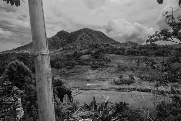 Landscape Scenery with Terraced Rice Fields near Redjang in Flores, Indonesia, in Monochrome Black and White